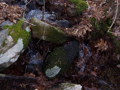 Click to view picture details [32]