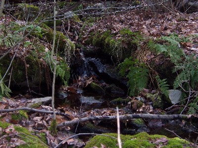 Click to view picture details [33]