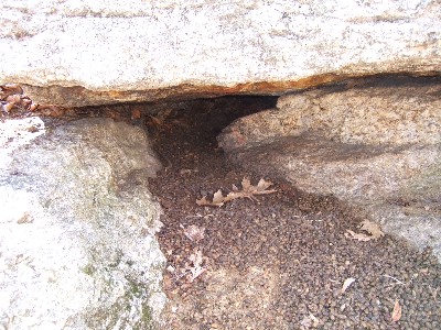 Click to view picture details [3388]