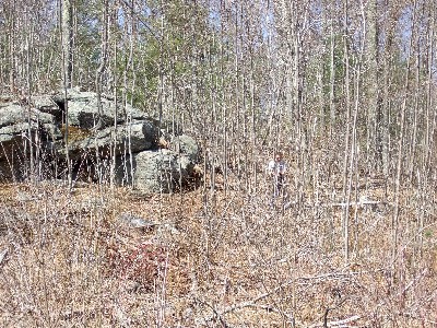 Click to view picture details [3394]