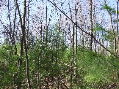 Click to view picture details [3397]