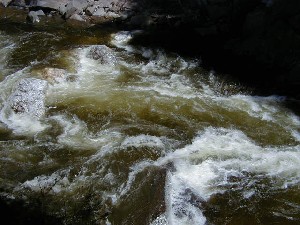 Click to view picture details [3480]