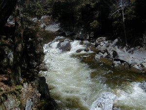 Click to view picture details [3481]