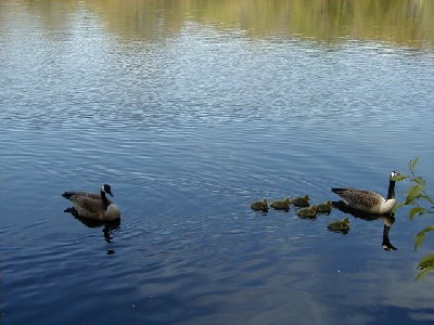 Click to view picture details [3613]