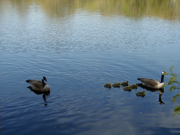 Click to view picture details [3613]