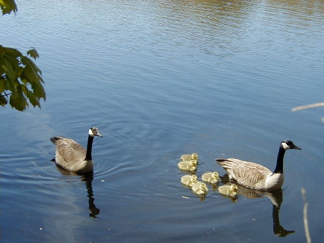 Click to view picture details [3614]