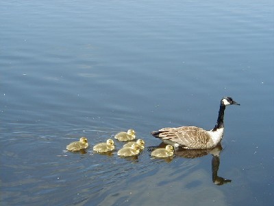 Click to view picture details [3616]