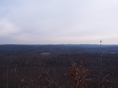 Click to view picture details [4]