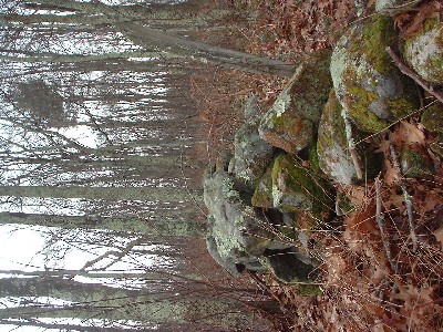 Click to view picture details [41]