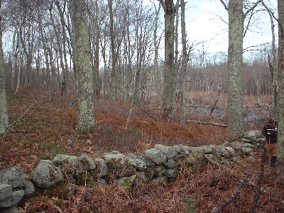 Click to view picture details [42]