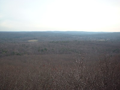 Click to view picture details [4640]