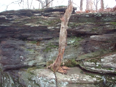 Click to view picture details [4645]