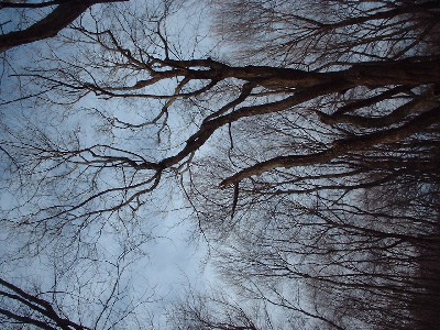 Click to view picture details [4648]