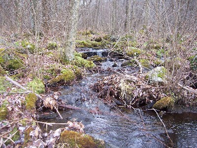 Click to view picture details [4672]