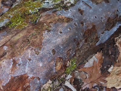 Click to view picture details [4676]