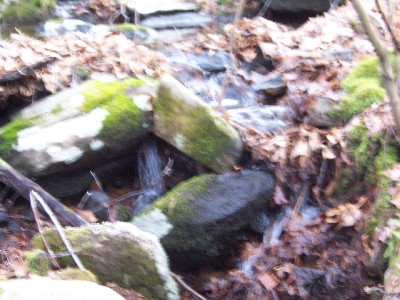 Click to view picture details [4679]