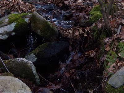 Click to view picture details [4680]