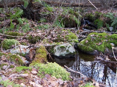 Click to view picture details [4685]