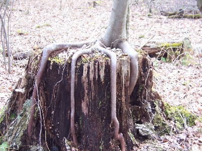 Click to view picture details [4689]