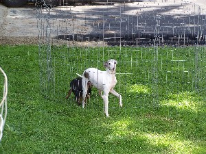 Click to view picture details [5884]