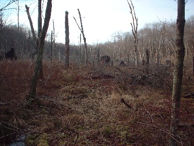 Click to view picture details [60]