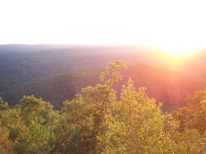 Click to view picture details [6310]