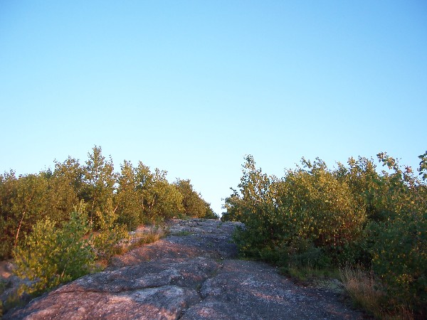 Click to view picture details [6311]