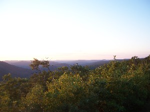 Click to view picture details [6312]