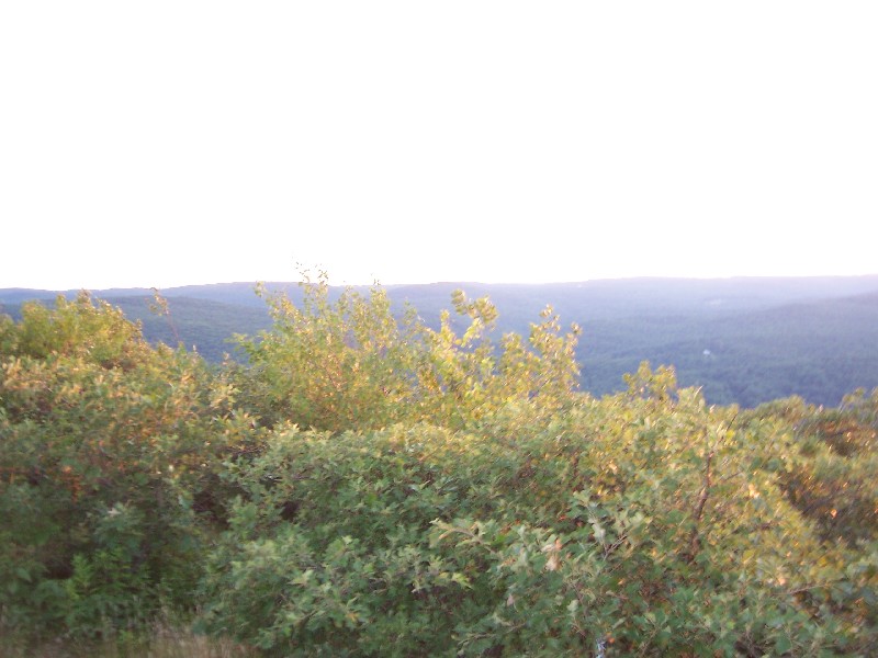 Click to view picture details [6315]