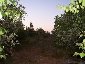 Click to view picture details [6316]