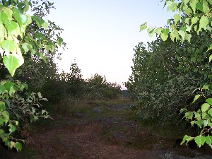 Click to view picture details [6317]