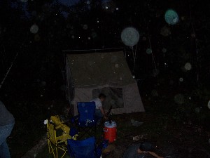 Click to view picture details [6327]