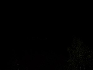 Click to view picture details [6329]