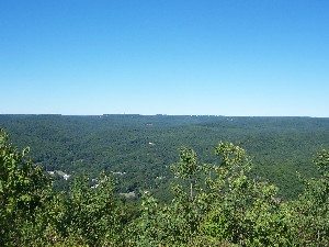 Click to view picture details [6340]