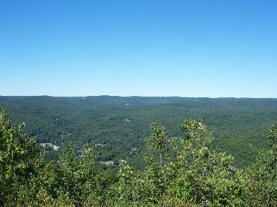 Click to view picture details [6340]