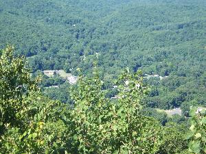 Click to view picture details [6341]