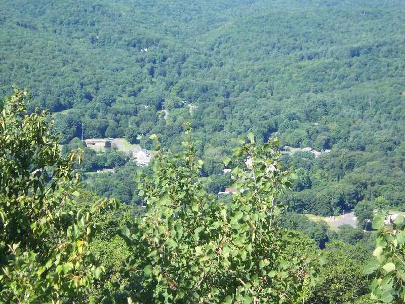 Click to view picture details [6341]