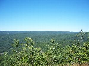 Click to view picture details [6344]