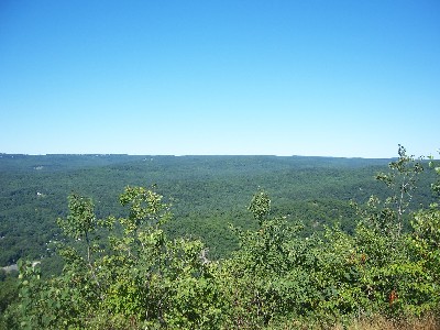 Click to view picture details [6344]