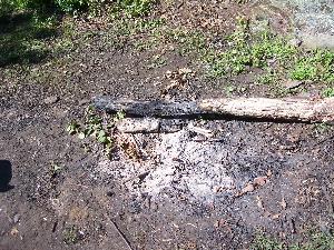 Click to view picture details [6348]