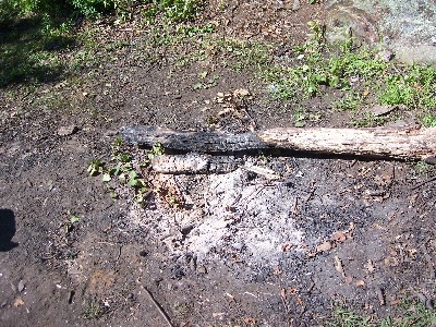 Click to view picture details [6348]