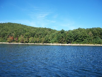 Click to view picture details [6656]