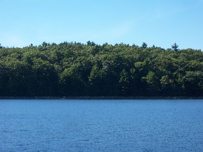 Click to view picture details [6663]