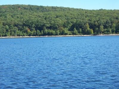 Click to view picture details [6665]