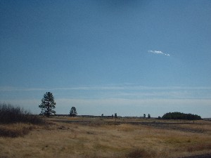 Click to view picture details [6746]