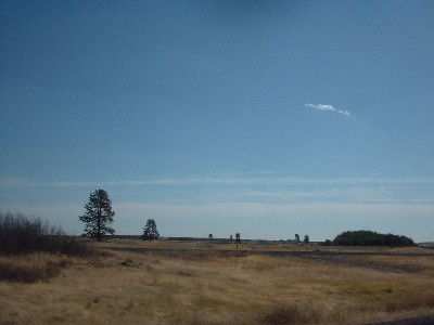 Click to view picture details [6746]