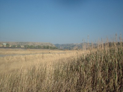 Click to view picture details [6791]