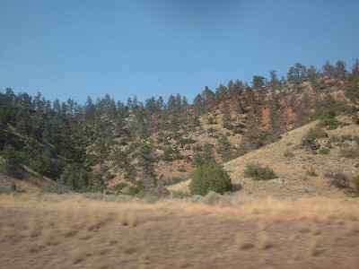 Click to view picture details [6795]