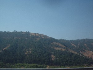 Click to view picture details [6810]