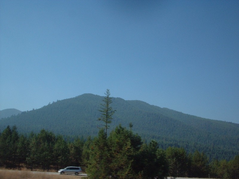 Click to view picture details [6821]